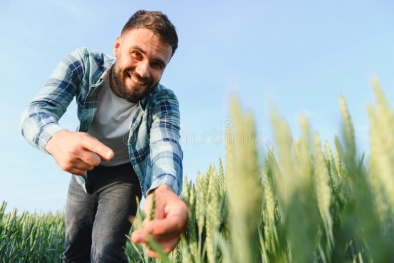 Come Aprire Una Azienda Agricola: Guida Passo Dopo Passo 8 Come Aprire Una Azienda Agricola: Guida Passo Dopo Passo